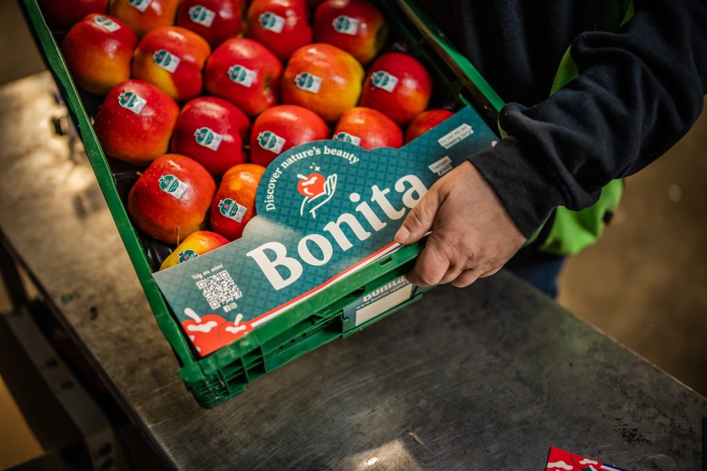 Werken bij F.A. De Jong