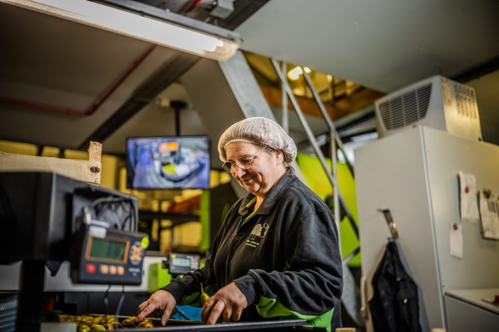 Werken bij F.A. De Jong