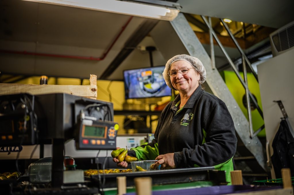 Werken bij F.A. De Jong