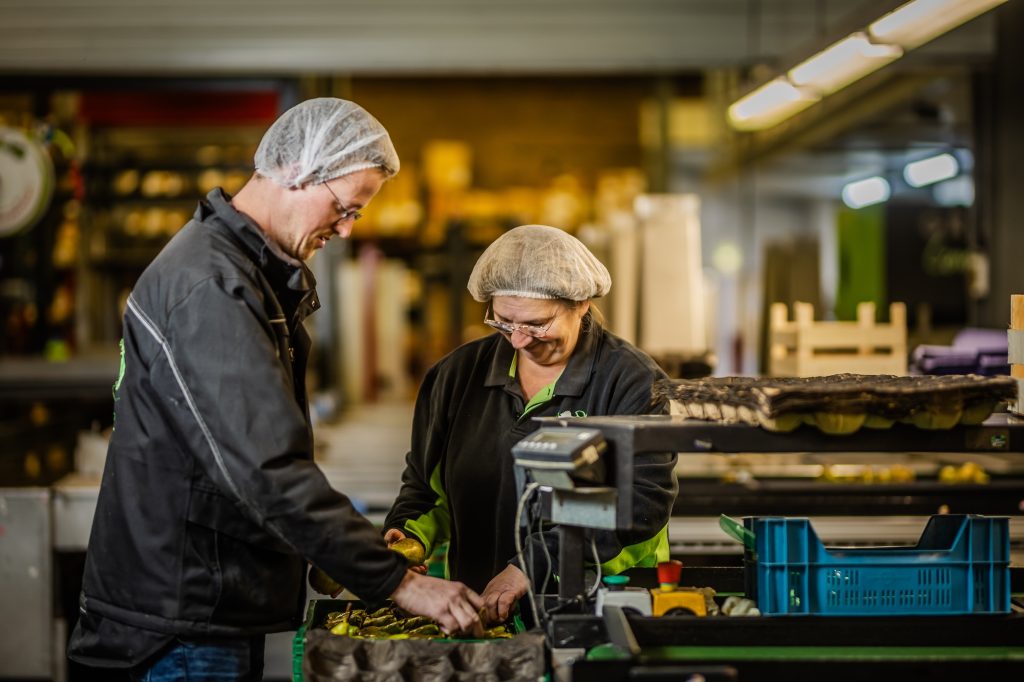 Werken bij F.A. De Jong